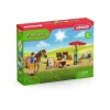 Schleich ETAL MOBILE DE LA FERME 5