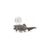 Schleich 14575 Figurine Dinosaure Dunkleosteus 16