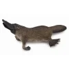 Figurines Collecta Figurine Ornithorynque 5