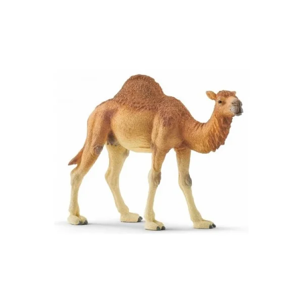 Schleich 14832 Dromadaire 1