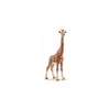 Schleich 14750 Girafe Femelle 16