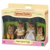 Epoch D’Enfance 4172 – La Famille écureuil Roux – Sylvanian Families 13